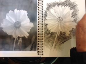 She started with a grid, but drew the flower free-hand.