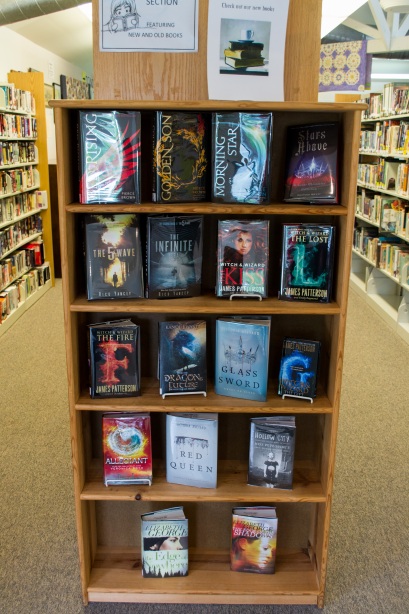 <img="bookshelf with young adult books">
